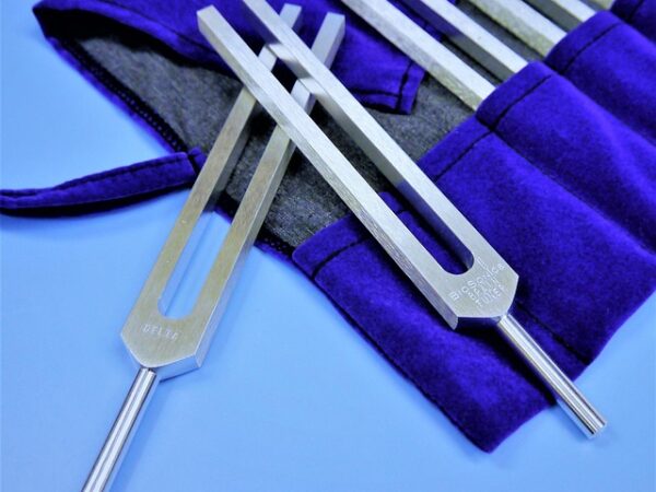 Tuning forks for hearing tests and balance assessment — sensorineural hearing loss | Dr. Prateek Porwal, ENT