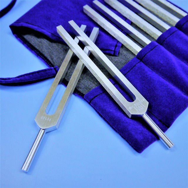 Tuning forks for hearing tests and balance assessment — sensorineural hearing loss | Dr. Prateek Porwal, ENT