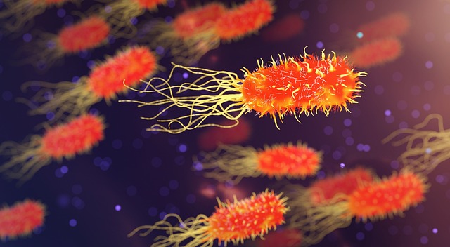 Microscopic view of rod-shaped bacteria with flagella — दर्द कारण इलाज | Dr. Prateek Porwal, ENT