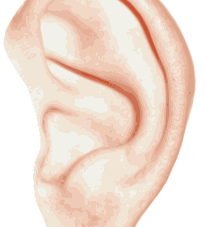Illustration of a human ear, showing external anatomy — തലകറക്കം — മലയാളം ലേഖനങ്ങൾ | Dr. Prateek Porwal, ENT