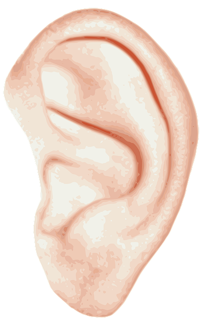 Illustration of a human ear, showing external anatomy — തലകറക്കം — മലയാളം ലേഖനങ്ങൾ | Dr. Prateek Porwal, ENT