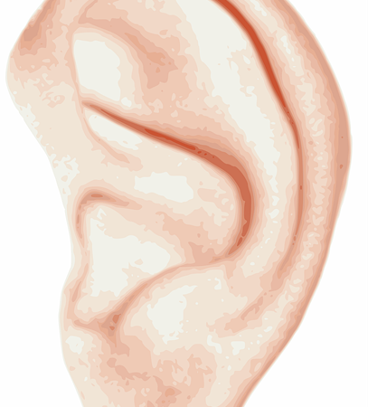 Illustration of a human ear, showing external anatomy — ਚੱਕਰ ਅਤੇ ਵਰਟੀਗੋ ਬਾਰੇ | Dr. Prateek Porwal, ENT
