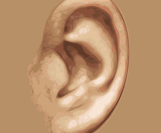 Illustration of a human ear, showing external anatomy — தலைச்சுற்றல் (வெர்டிகோ) — தமிழ் | Dr. Prateek Porwal, ENT