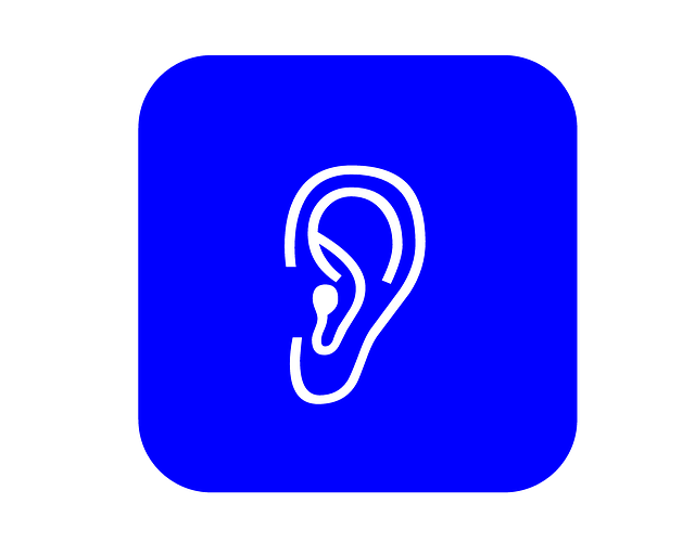 Stylized icon of a human ear on a blue background — Vertigo Specialist Chennai | Dr. Prateek Porwal, ENT