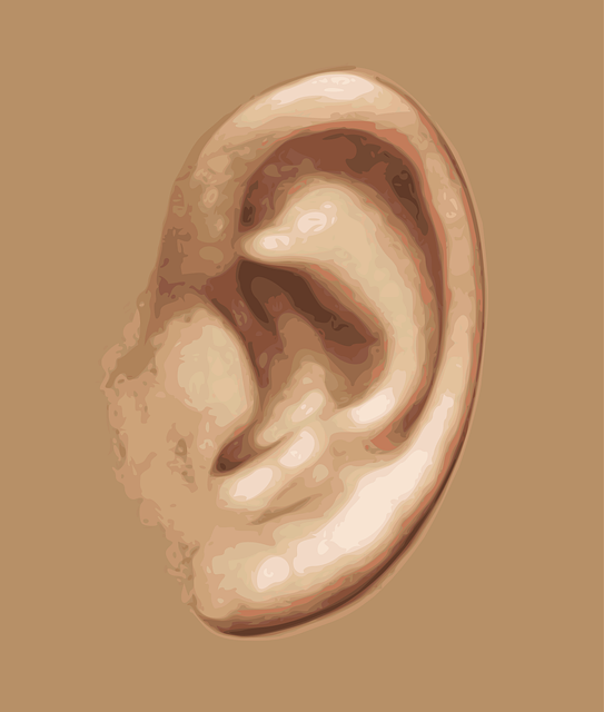 Illustration of a human ear with detailed external features — Vertigo Doctor in Noida | Dr. Prateek Porwal, ENT